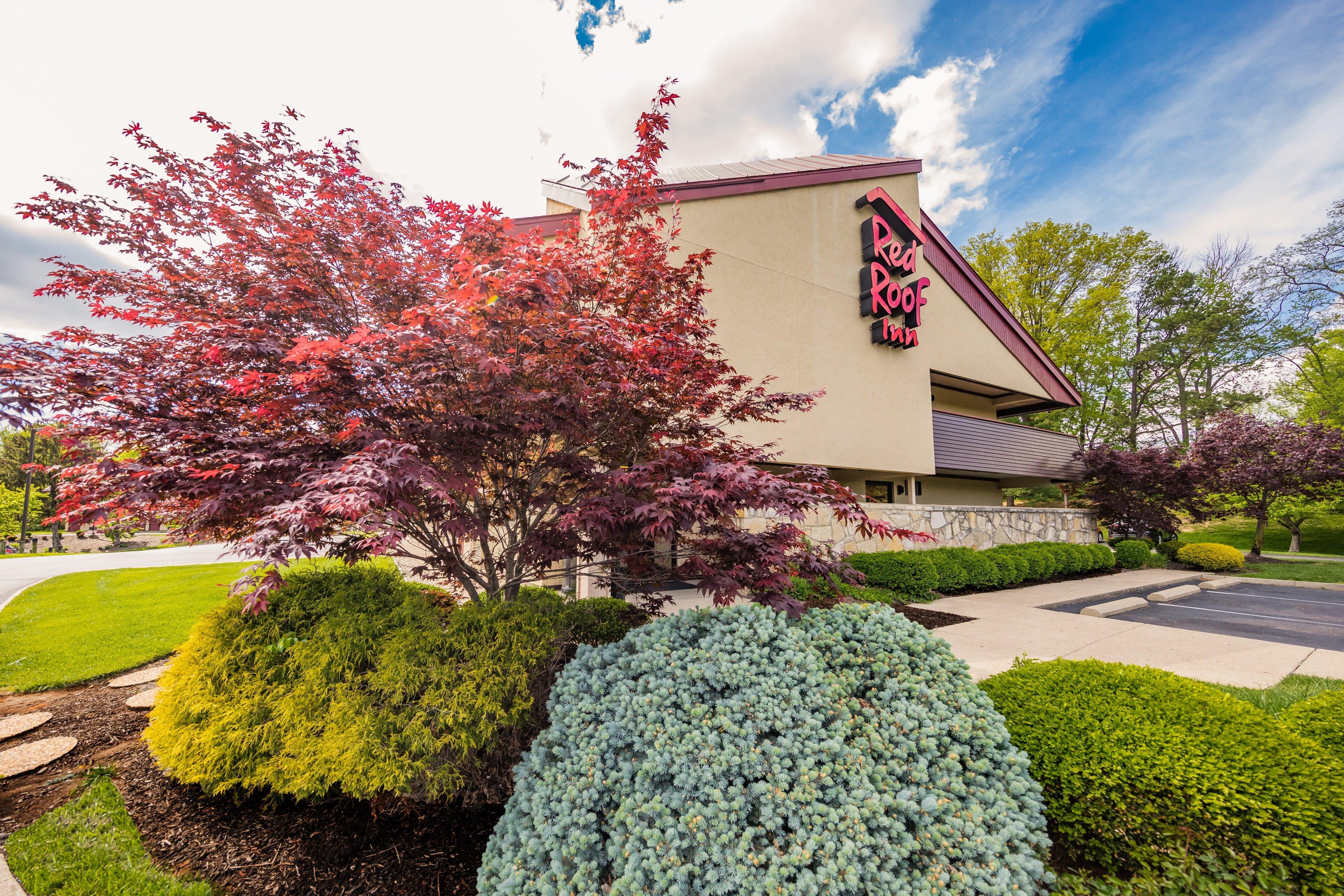 Red Roof Inn Cincinnati Northeast - Blue Ash Exterior foto